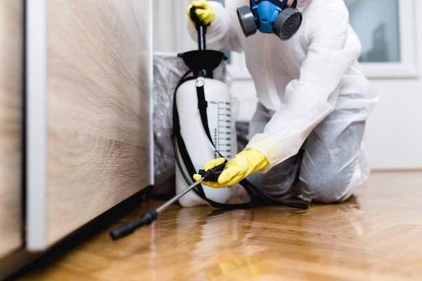 Best Local Pest Control Services  in Laurence Harbor, NJ