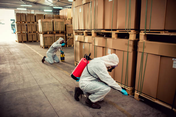 Best Cockroach Control Services  in Laurence Harbor, NJ