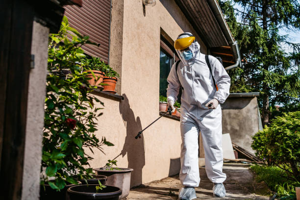 Best Pest Removal Services  in Laurence Harbor, NJ
