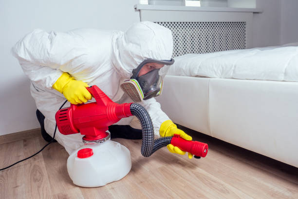 Professional Pest Control in Laurence Harbor, NJ