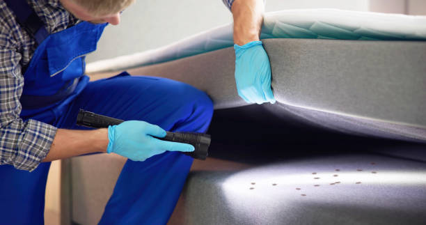 Best Affordable Pest Control Services  in Laurence Harbor, NJ