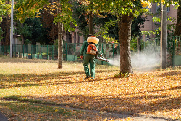 Insect Control in Laurence Harbor, NJ