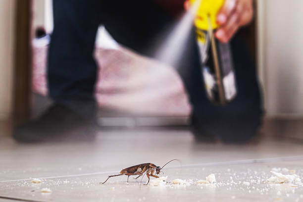 Best Flea Control Services  in Laurence Harbor, NJ