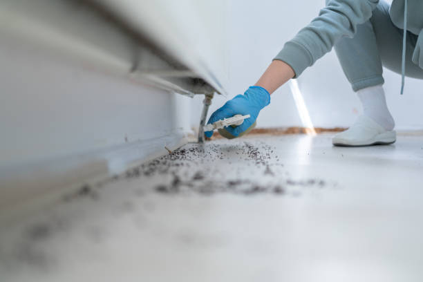 Best Cockroach Control Services  in Laurence Harbor, NJ