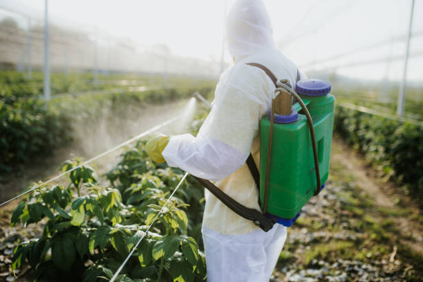 Best Affordable Pest Control Services  in Laurence Harbor, NJ